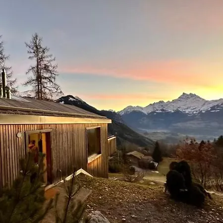Chalet Contemporain *
