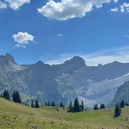 Contemporain * Gryon