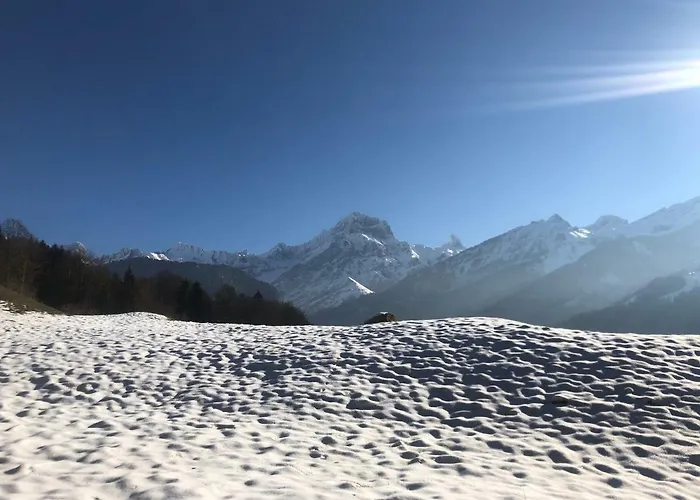 Domek alpejski Contemporain *