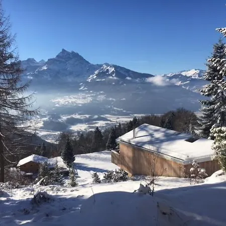 Contemporain Σαλέ